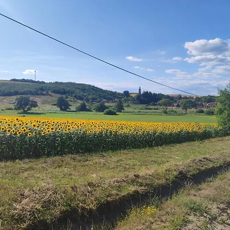 Nadenka&mgr Сasa de vacaciones