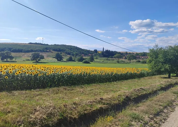 Nadenka & Mgr Vendeghaz Case de vacanță